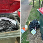residents-outraged-over-disgusting-bin-crisis-in-wa-suburbs