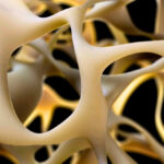 scientists-uncover-key-mechanism-to-combat-osteoporosis