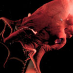 scientists-uncover-secrets-of-vampire-squid-and-more-discoveries