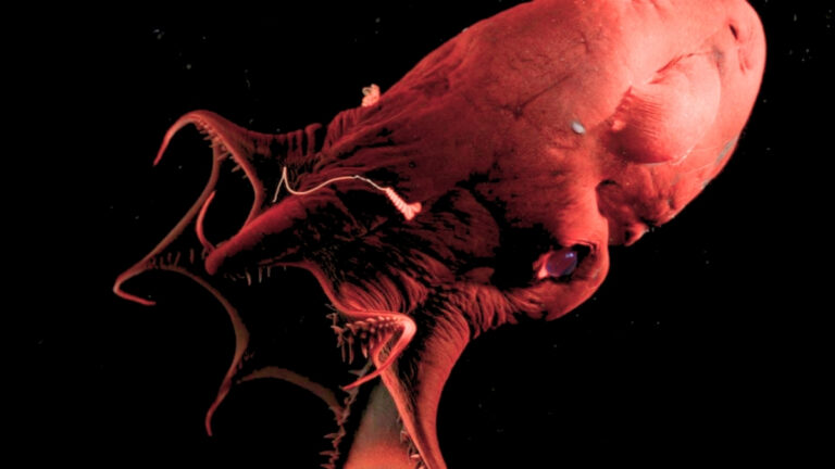 scientists-uncover-secrets-of-vampire-squid-and-more-discoveries