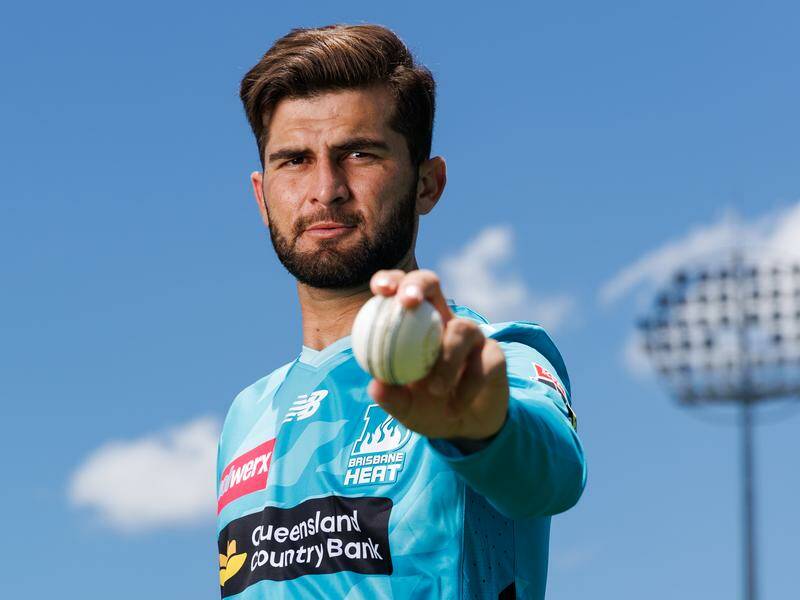 shaheen-shah-afridi-withdraws-from-big-bash-due-to-injury