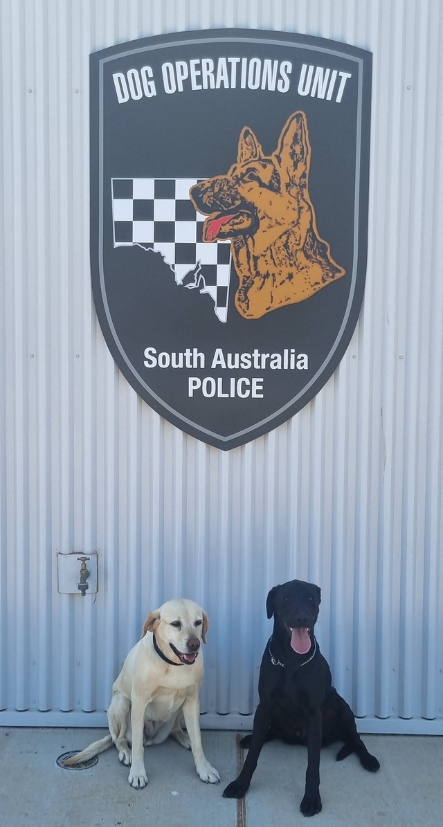 south-australia-police-retires-two-heroic-police-dogs-today