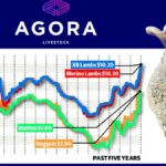 WA lamb and sheep values update.