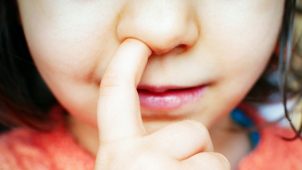 study-links-nose-picking-to-increased-alzheimer-s-risk-in-mice