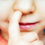 study-links-nose-picking-to-increased-alzheimer-s-risk-in-mice