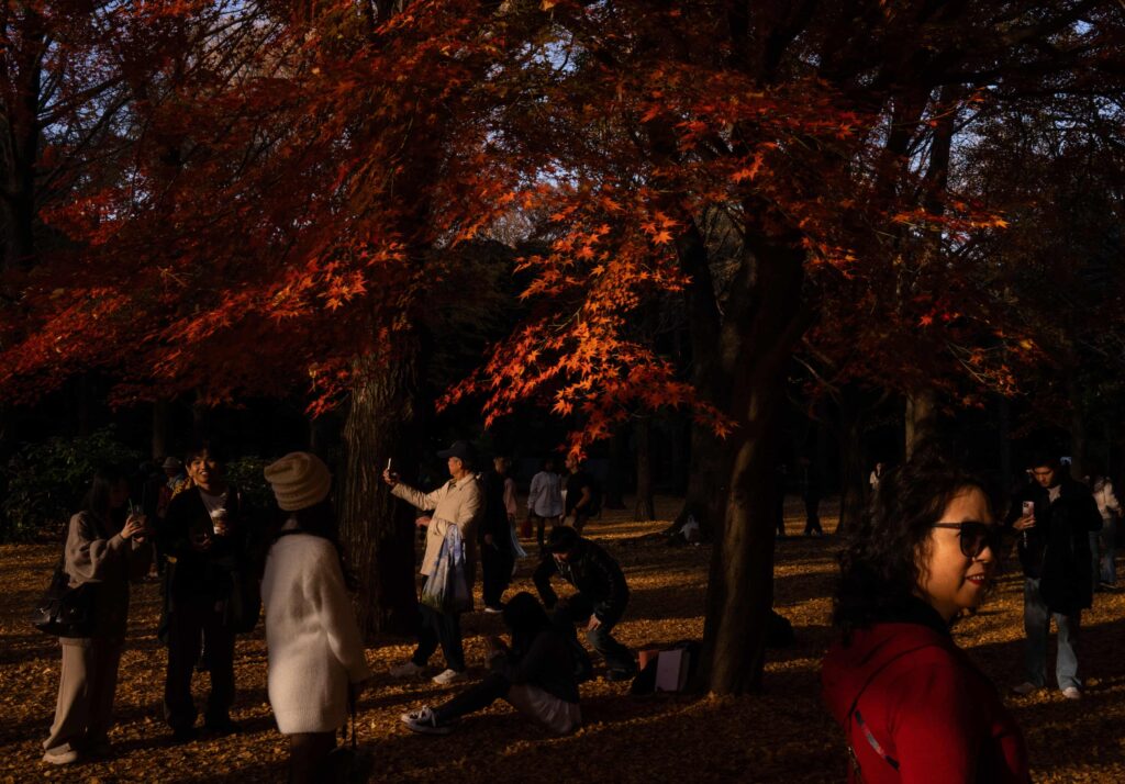 stunning-autumn-scenes-captured-across-frankfurt-on-monday