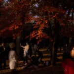 stunning-autumn-scenes-captured-across-frankfurt-on-monday
