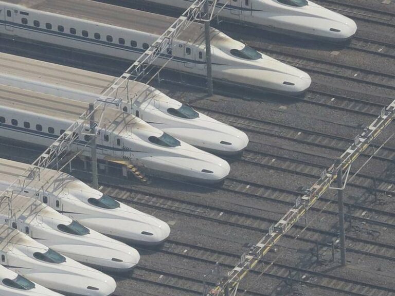 swan-disrupts-japan-s-shinkansen-bullet-train-operations