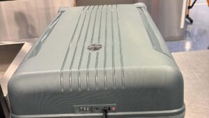 sydney-woman-charged-after-seizing-15kg-of-meth-in-tea-bags