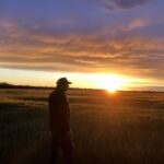 tiny-snails-make-historic-comeback-on-norfolk-island