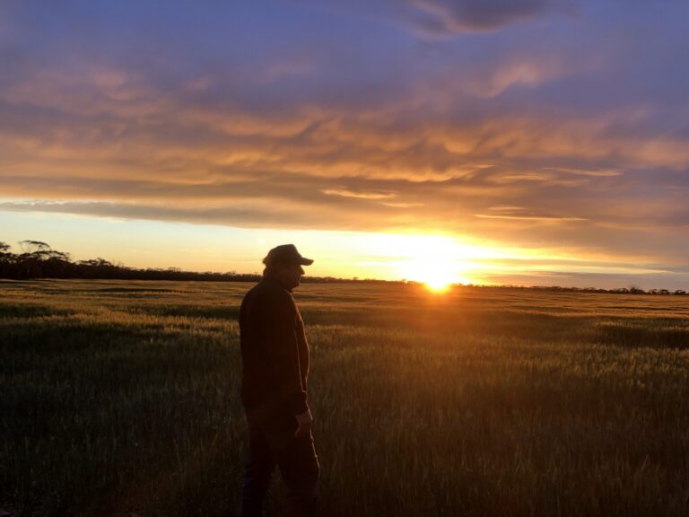 tiny-snails-make-historic-comeback-on-norfolk-island