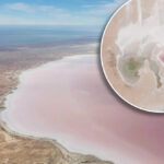 tourists-rush-to-witness-kati-thanda-lake-eyre-s-stunning-pink-transformation