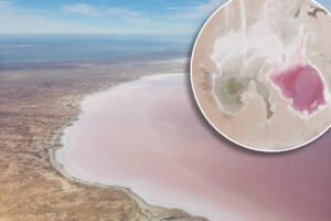 tourists-rush-to-witness-kati-thanda-lake-eyre-s-stunning-pink-transformation