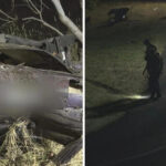 tragic-car-crash-claims-one-life-injures-three-in-suttontown