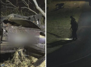 tragic-car-crash-claims-one-life-injures-three-in-suttontown