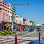 urgent-alert-cane-toad-spotted-900km-south-in-nsw-town