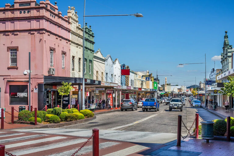 urgent-alert-cane-toad-spotted-900km-south-in-nsw-town