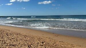 urgent-alert-learn-to-spot-rip-currents-before-hitting-the-beach