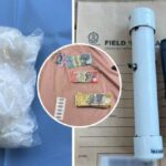 urgent-arrest-20k-cash-drugs-stun-guns-seized-in-cessnock
