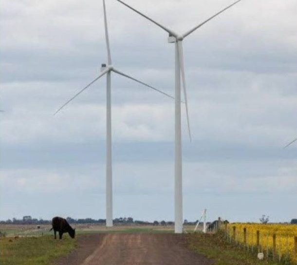 urgent-asbestos-scare-disrupts-wind-energy-projects-nationwide