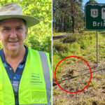 urgent-battle-against-fire-ants-grandfather-s-fight-to-save-family