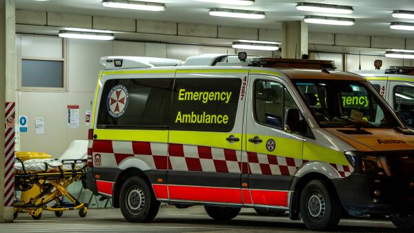 urgent-dog-attack-injures-three-teen-ambushed-at-home