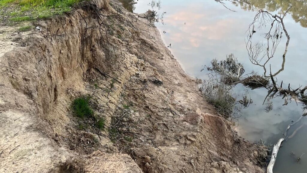 urgent-federal-water-minister-announces-130gl-buyback-impacting-dairy-farmers