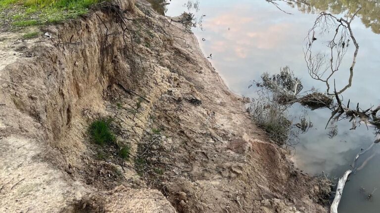 urgent-federal-water-minister-announces-130gl-buyback-impacting-dairy-farmers