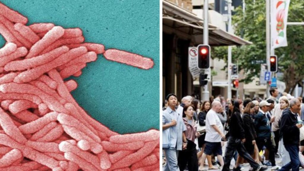 urgent-health-alert-three-hospitalized-with-legionnaires-in-sydney