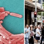 urgent-health-alert-three-hospitalized-with-legionnaires-in-sydney