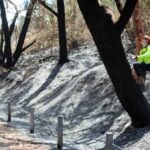 urgent-lake-macquarie-faces-natural-disaster-as-redhead-fire-spreads