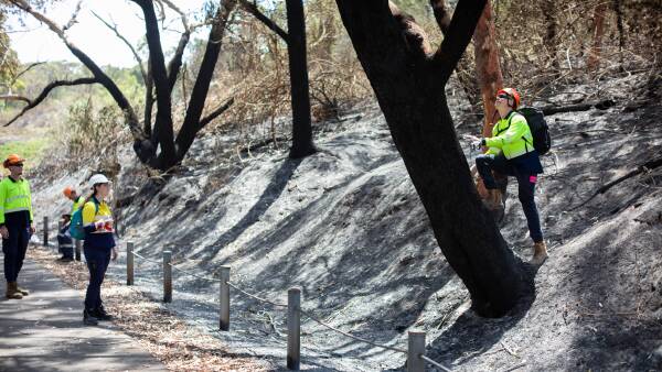 urgent-lake-macquarie-faces-natural-disaster-as-redhead-fire-spreads