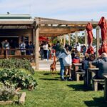 urgent-news-hawkes-farm-launches-new-hot-chips-today