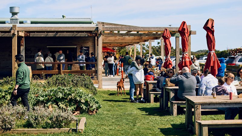 urgent-news-hawkes-farm-launches-new-hot-chips-today