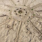 urgent-safety-message-this-holiday-season-protect-yourself-now