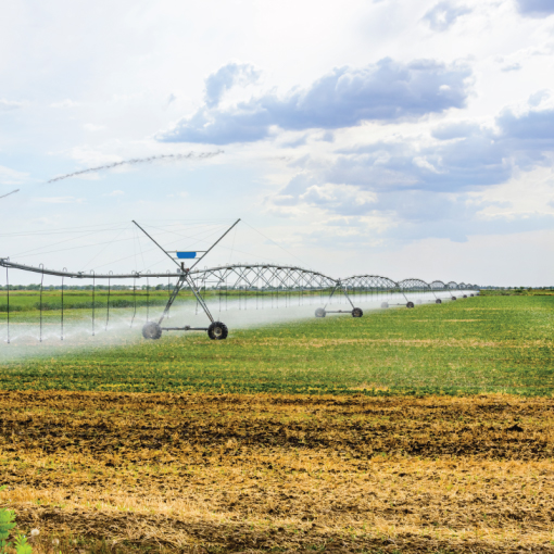 urgent-update-355-gl-water-shortfall-threatens-murray-darling-basin