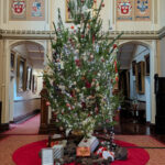 urgent-update-5-metre-pine-tree-unveiled-at-government-house