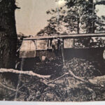 urgent-update-lasting-influence-of-a-special-individual-revealed