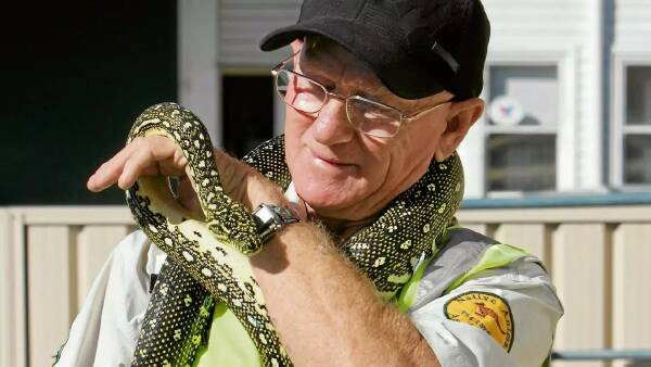 urgent-warning-bumper-eastern-brown-snake-season-hits-shoalhaven