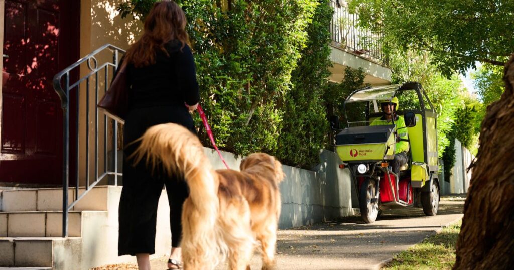 urgent-warning-dog-attacks-on-postal-workers-surge-across-australia
