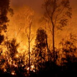 urgent-warning-nsw-farmers-alert-on-fire-risks-in-national-parks