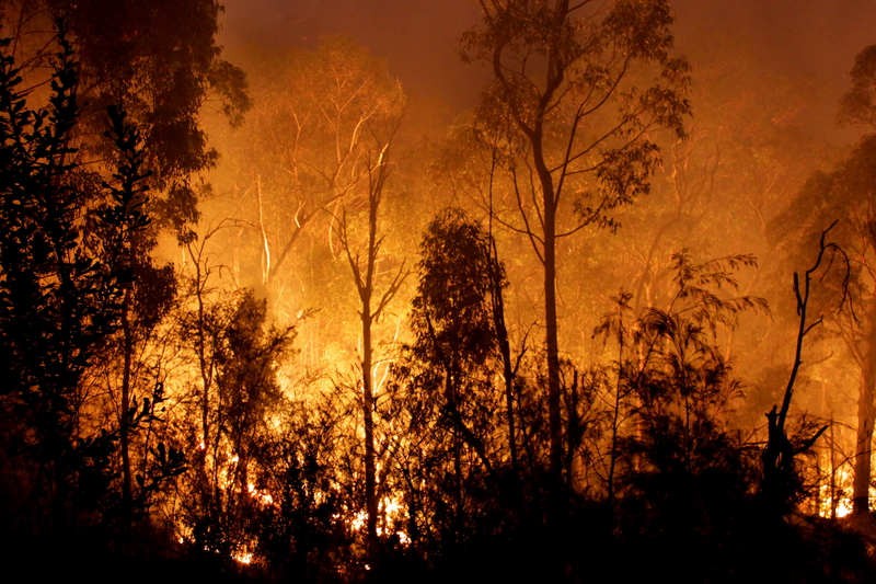 urgent-warning-nsw-farmers-alert-on-fire-risks-in-national-parks