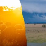 urgent-weather-update-australia-faces-mixed-conditions-this-christmas