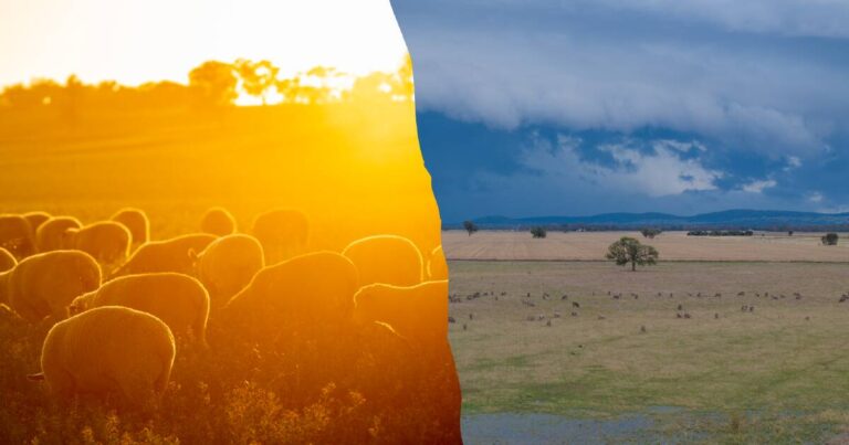 urgent-weather-update-australia-faces-mixed-conditions-this-christmas