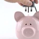 voters-demand-continuation-of-electricity-subsidy-amid-rising-costs