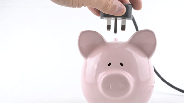 voters-demand-continuation-of-electricity-subsidy-amid-rising-costs