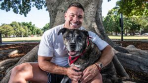 wellness-boom-for-pets-supplements-surge-amid-growing-demand