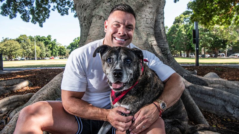 wellness-boom-for-pets-supplements-surge-amid-growing-demand