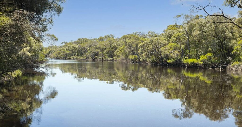 western-australia-sees-strong-property-sales-in-2025-season