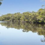 western-australia-sees-strong-property-sales-in-2025-season